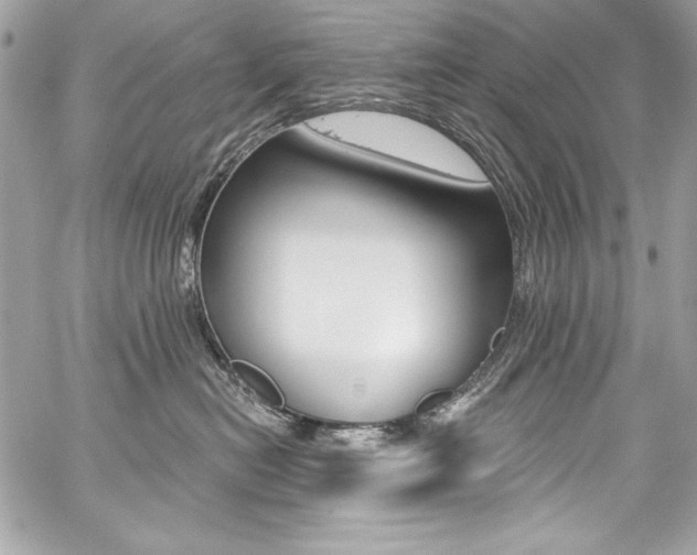 X0000059100478200510070949