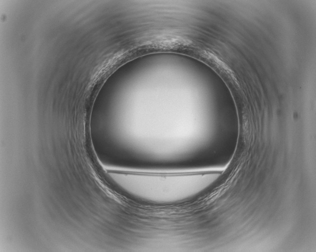 X0000059100493200510070948