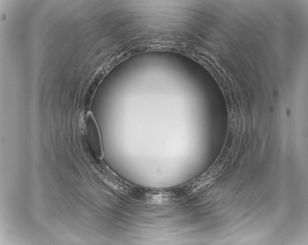 X0000059100564200510070947