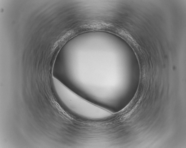 X0000059100585200510070947