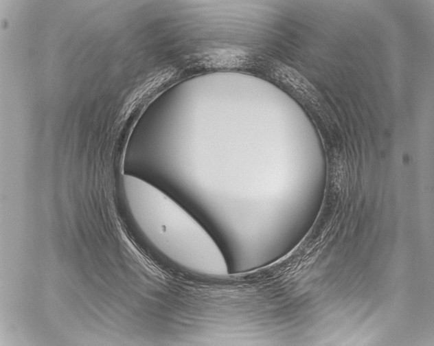 X0000059100586200510070947