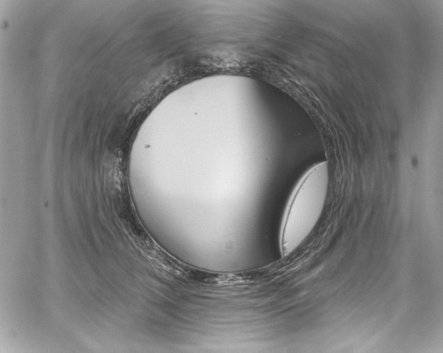 X0000059100612200510070946