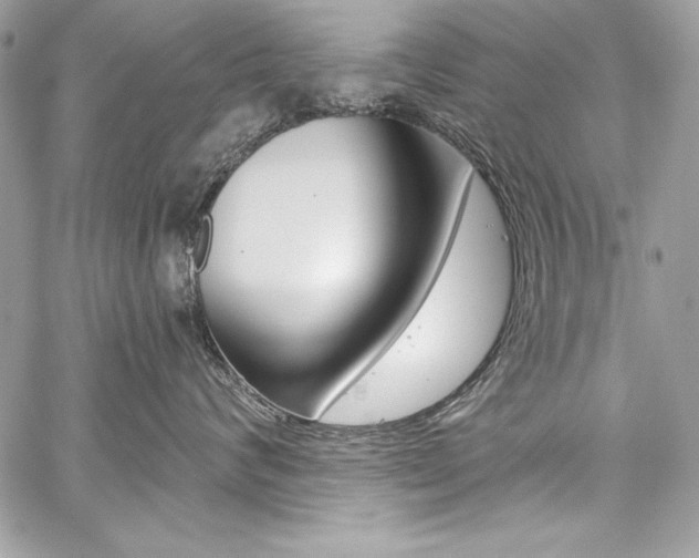 X0000059100624200510070946