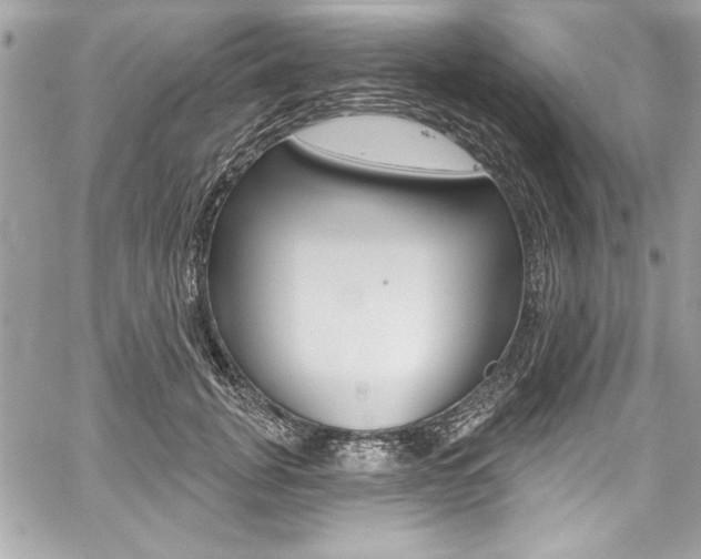 X0000059100751200510070944