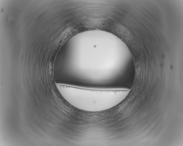 X0000059100767200510070944