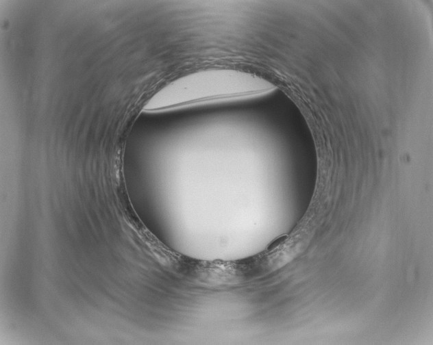 X0000059100768200510070944