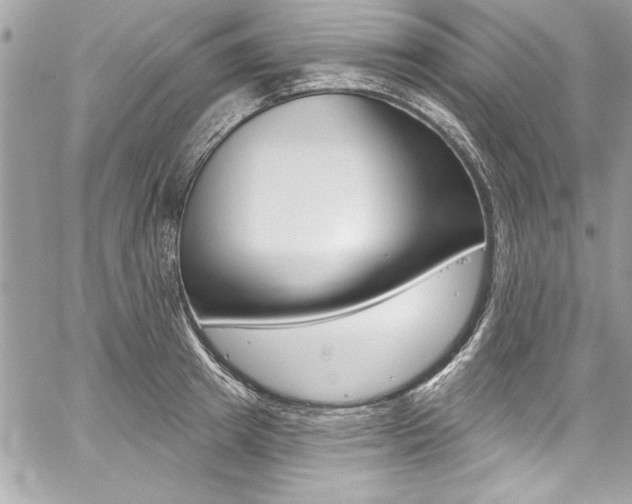 X0000059100849200510070942