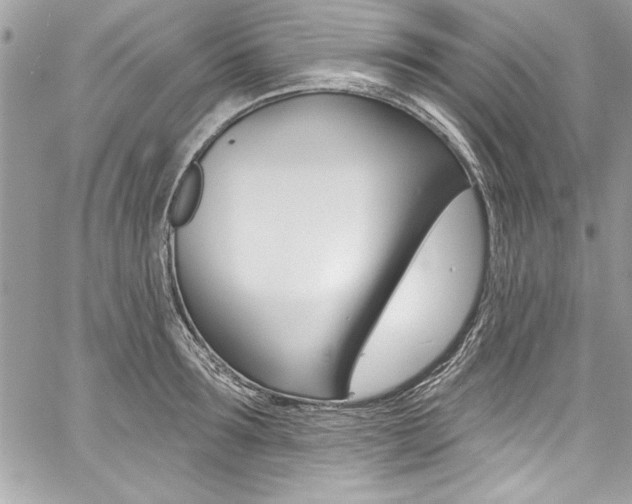 X0000059100899200510070941
