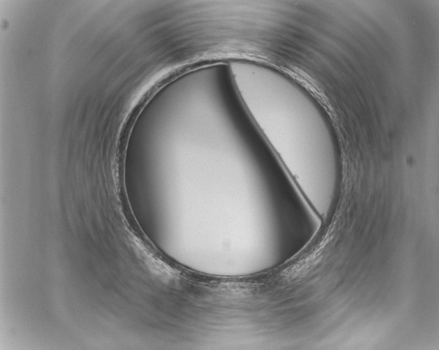 X0000059100942200510070941