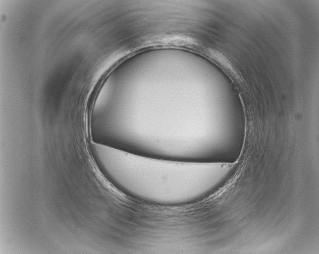 X0000059101079200510070938