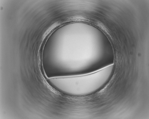 X0000059101082200510070938