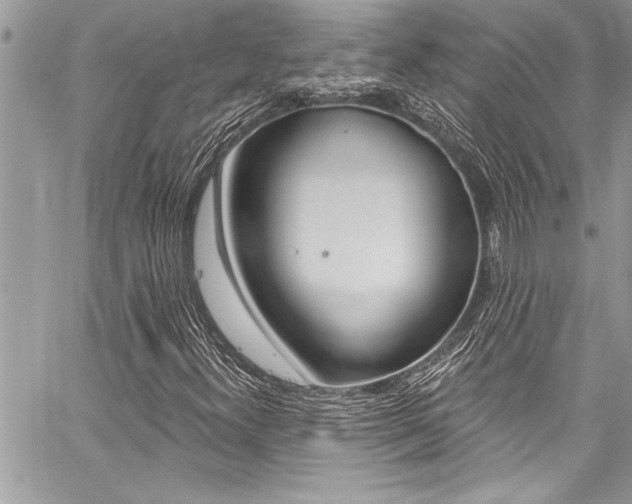 X0000059101300200510070934