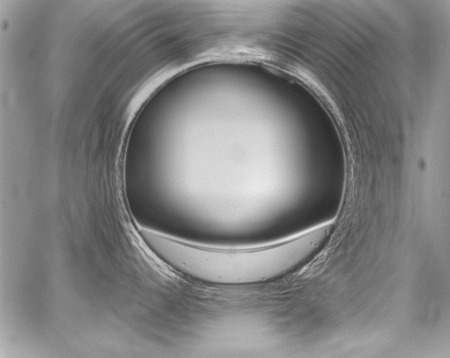 X0000059101344200510070935