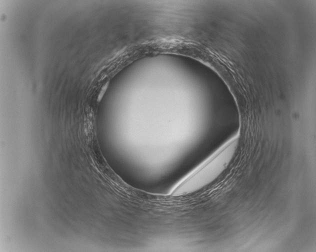 X0000059101349200510070934