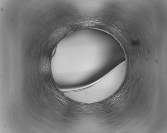 X0000059101444200510070932