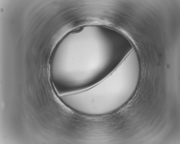 X0000059101476200510070932
