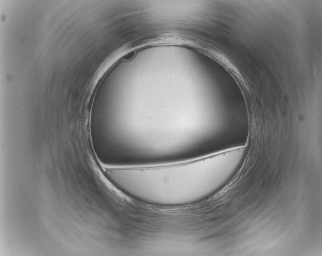 X0000059101484200510070932