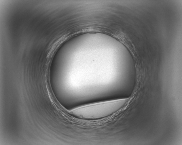 X0000059100001200510071156