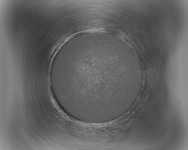 X0000059100002200510071156