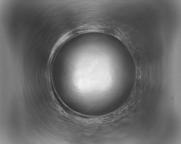 X0000059100004200510071156