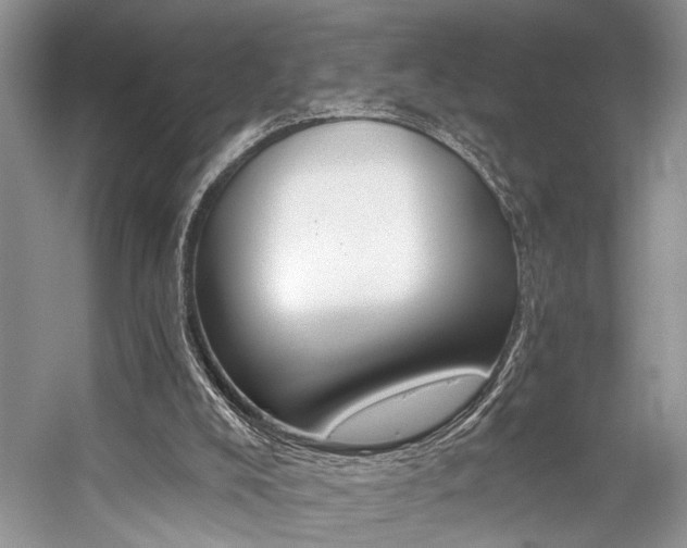 X0000059100008200510071156
