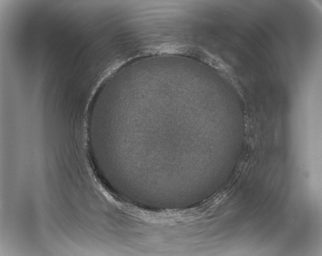 X0000059100012200510071156