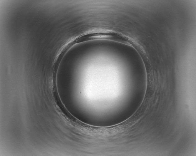 X0000059100015200510071156