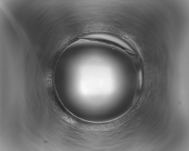 X0000059100017200510071156