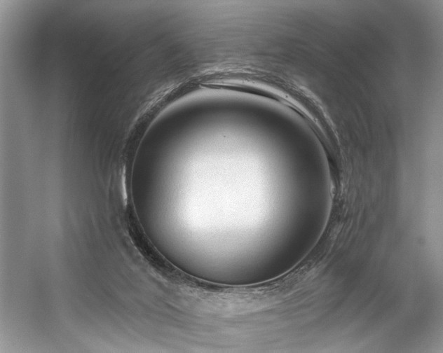 X0000059100020200510071156