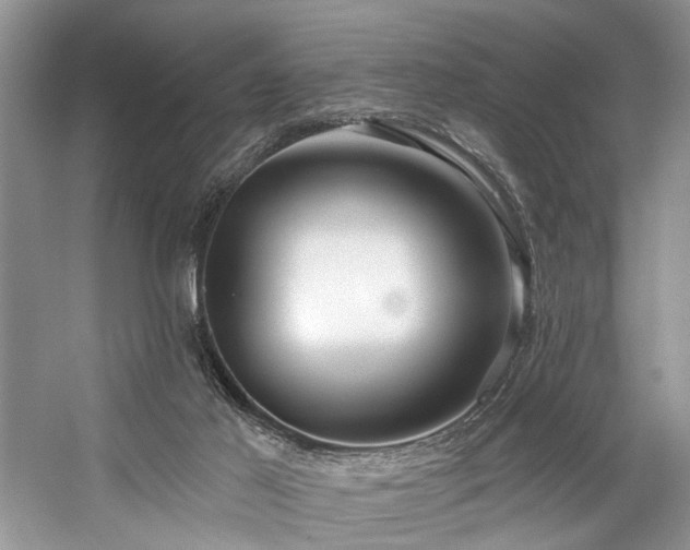 X0000059100021200510071156