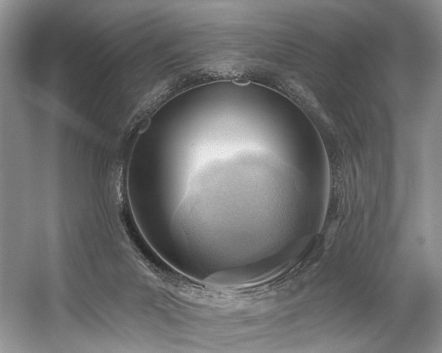 X0000059100023200510071156