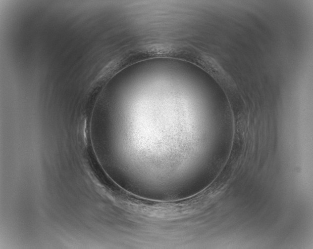 X0000059100024200510071156
