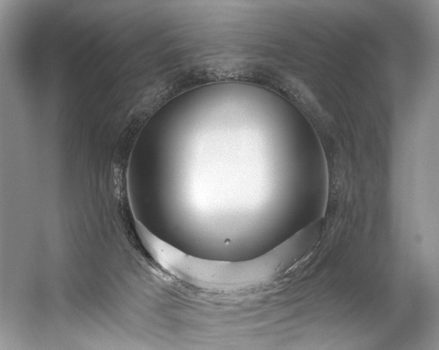 X0000059100025200510071156