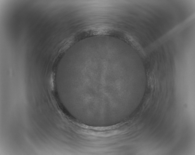 X0000059100026200510071156
