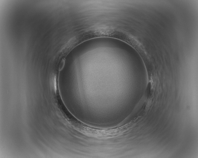 X0000059100027200510071156