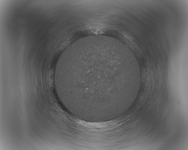 X0000059100030200510071156