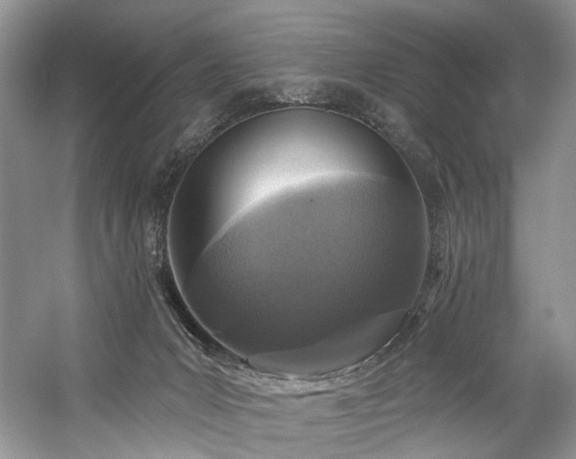 X0000059100031200510071156