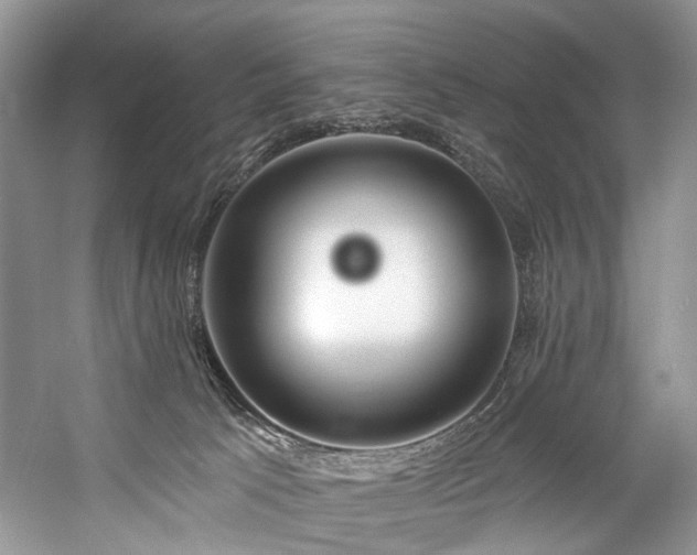 X0000059100033200510071156