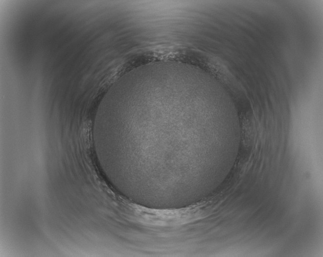 X0000059100034200510071156
