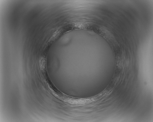 X0000059100036200510071156
