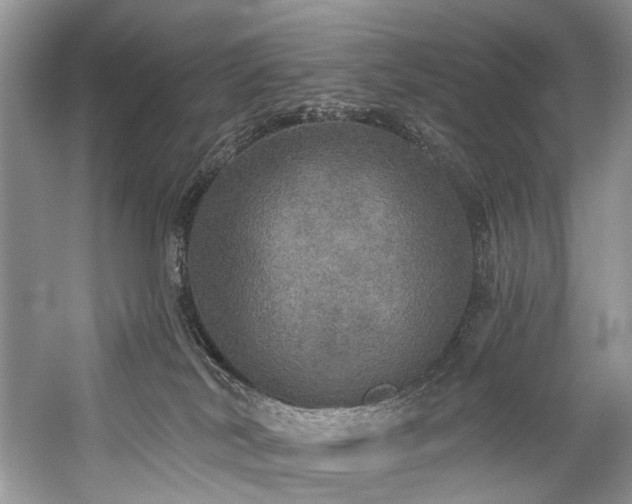 X0000059100038200510071156