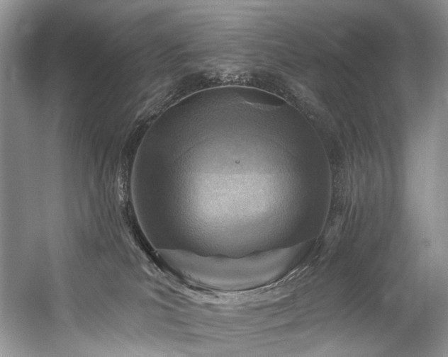 X0000059100039200510071156