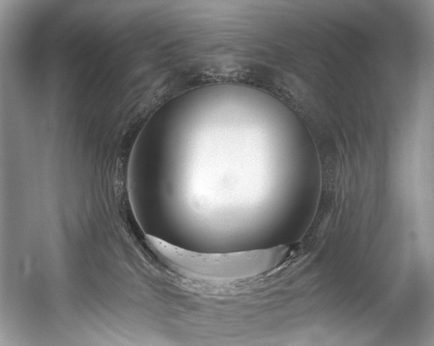 X0000059100040200510071156