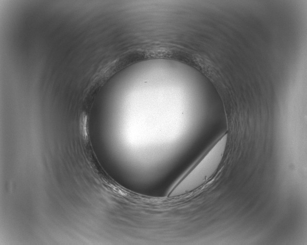 X0000059100041200510071156