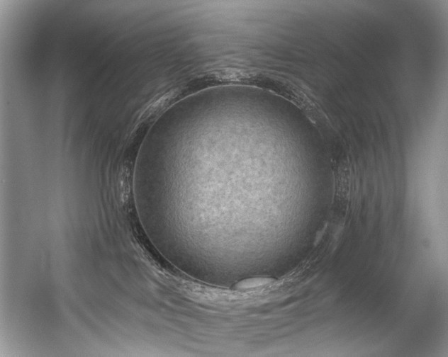 X0000059100043200510071156