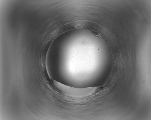 X0000059100044200510071156