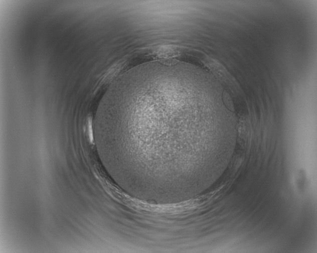 X0000059100046200510071156