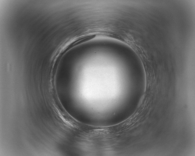 X0000059100050200510071155