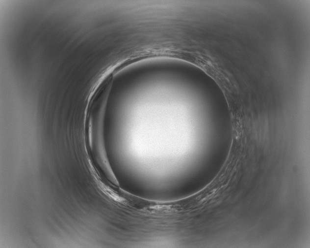 X0000059100052200510071155