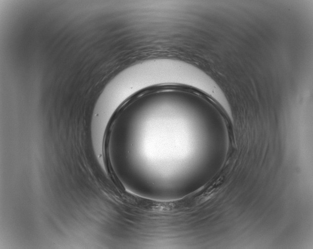 X0000059100080200510071155